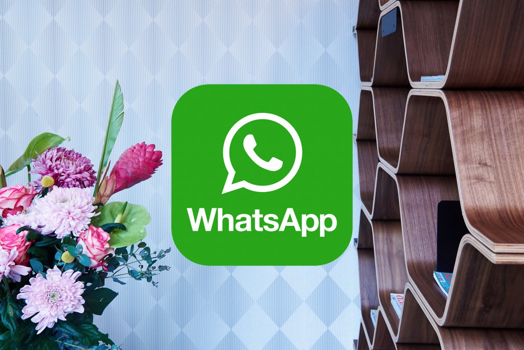 fiverooms-whatsapp-chat